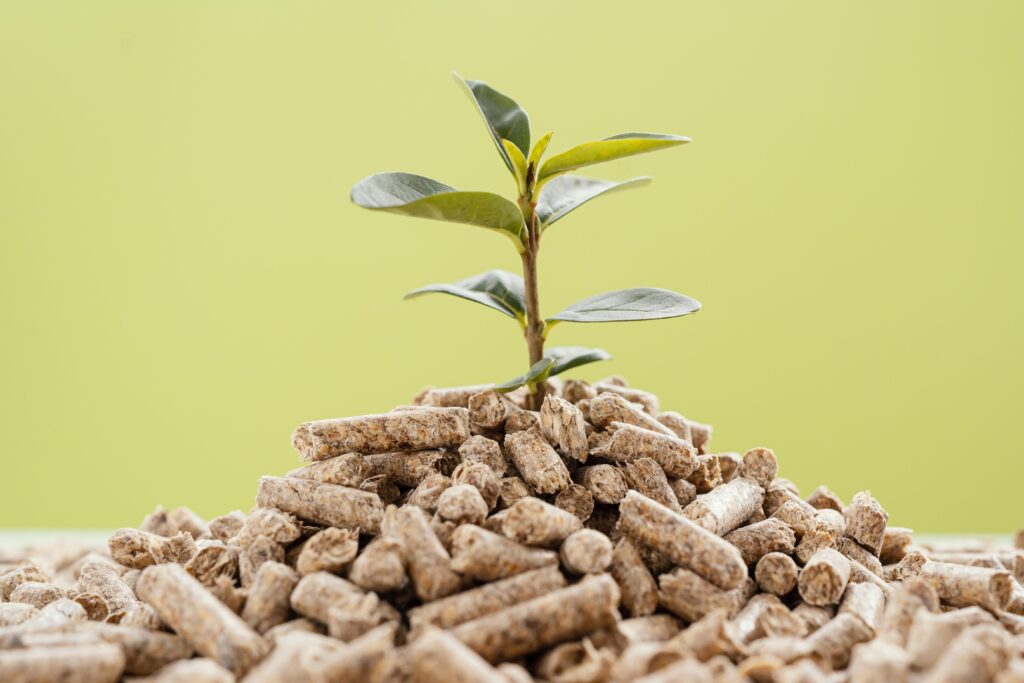 Front view of plant growing from pellets. Biomass and waste energy are renewable sources that use organic materials to generate energy. 